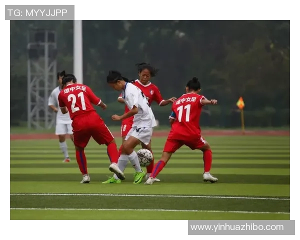 岐阜与岗山的对决分析探讨两队战术与球员表现的精彩瞬间