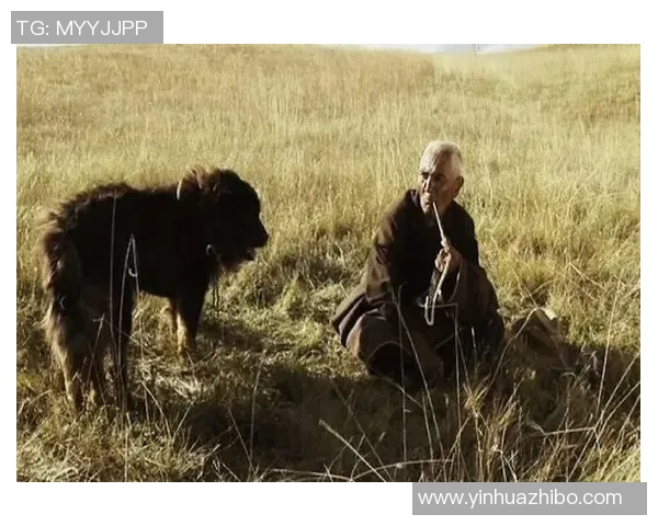 吉布森的传奇人生与不朽作品探讨：从文学到影视的跨界影响与启示